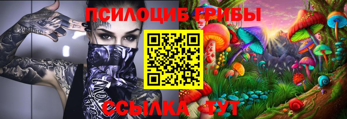 Солнечногорск  Псилоцибиновые грибы MAGIC MUSHROOMS  Вход с VPN 